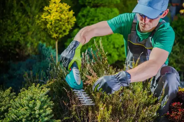 landscaping services Old Jefferson